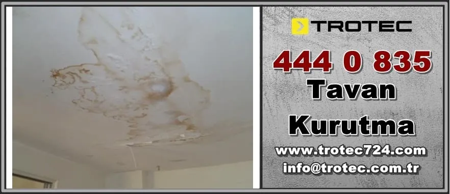 Tavan Kurutma