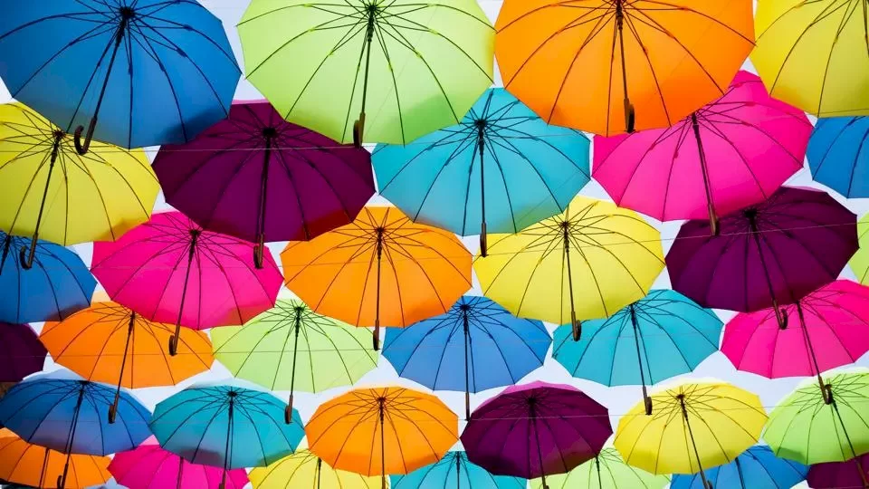 8 Different Types Of Insurance Policies And Coverage You Need