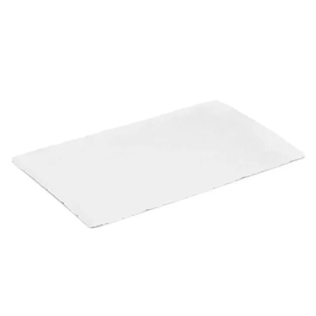 Airozon 5000 ve 10000 Hava Filtresi G2 Filtre Hasırı